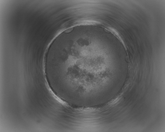 X0000071800851200606301159