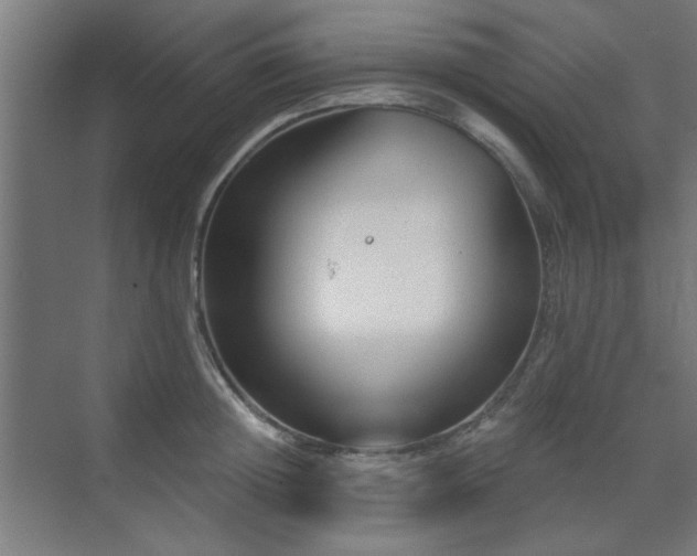 X0000071800852200606301159