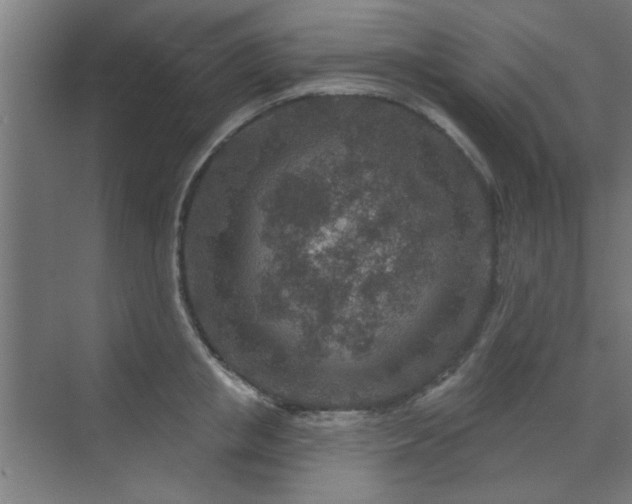 X0000071800853200606301159