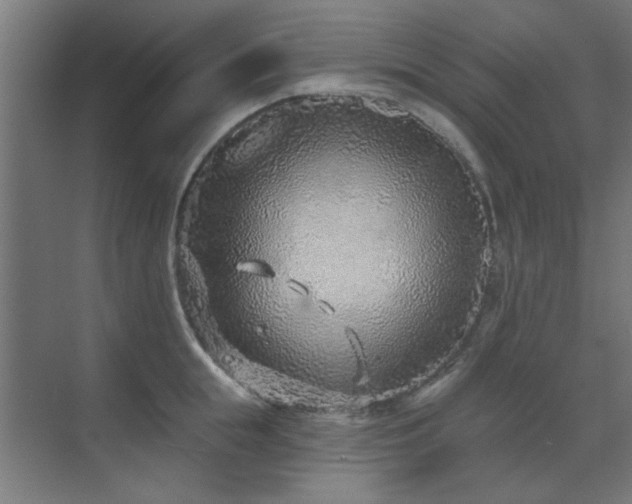 X0000071800855200606301159