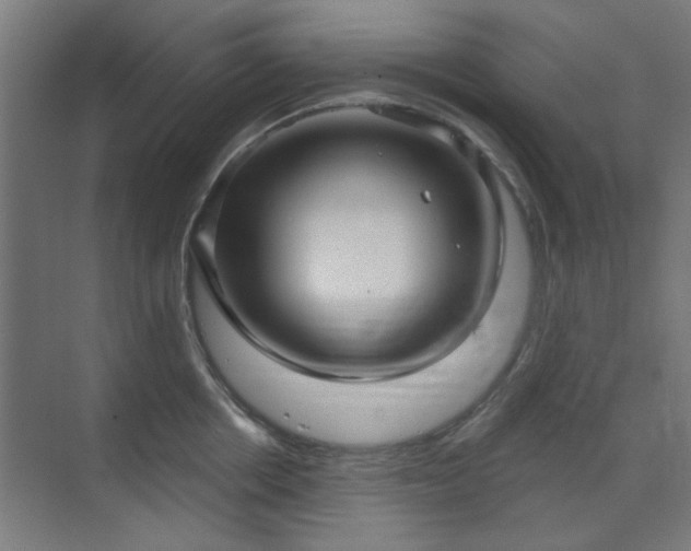 X0000071800858200606301159