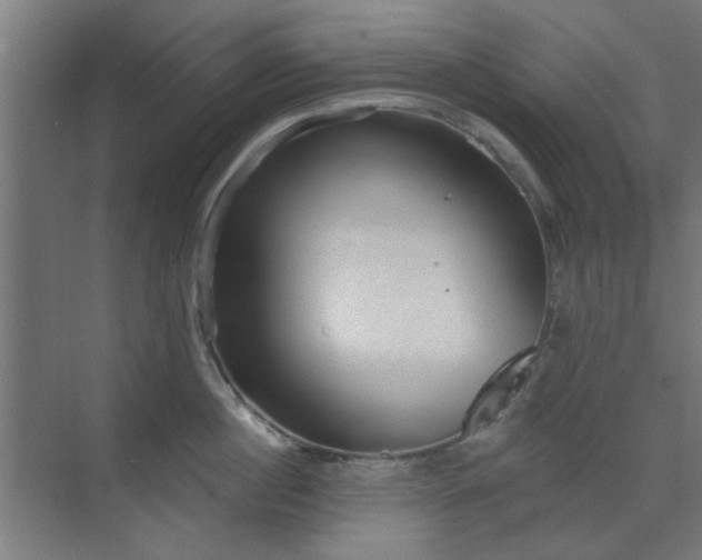 X0000071800860200606301159