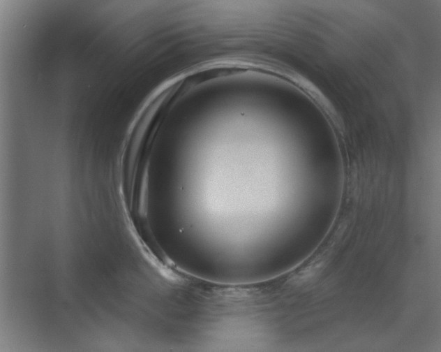 X0000071800862200606301159