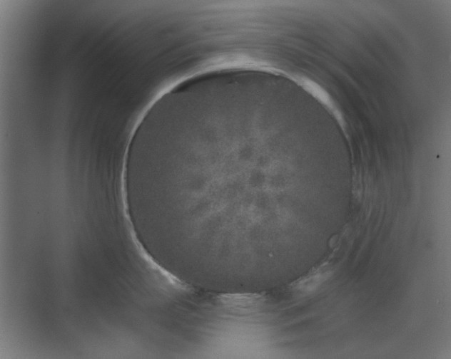 X0000071800863200606301159