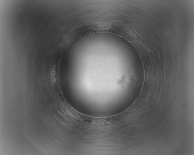 X0000071800866200606301158