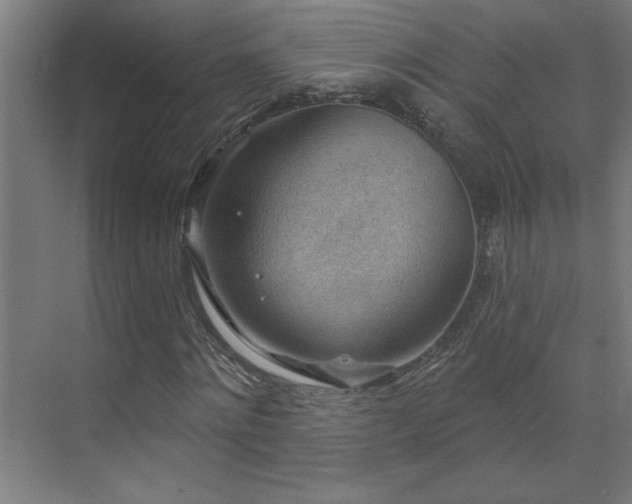 X0000071800868200606301158