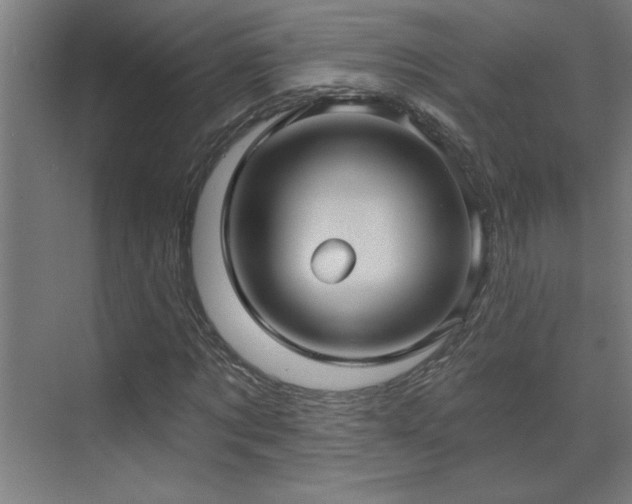 X0000071800869200606301158