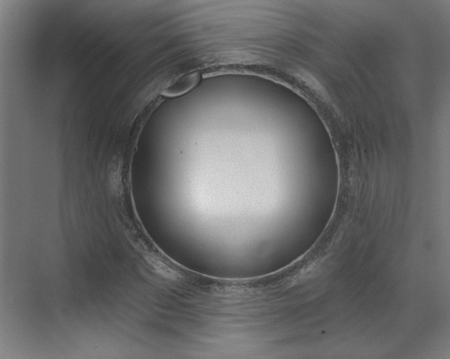 X0000071800873200606301158