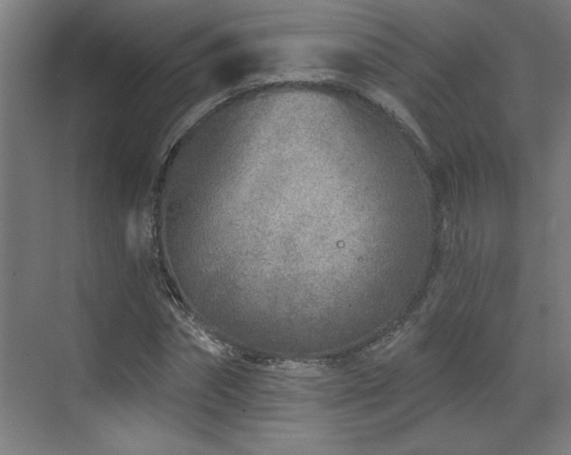 X0000071800874200606301158