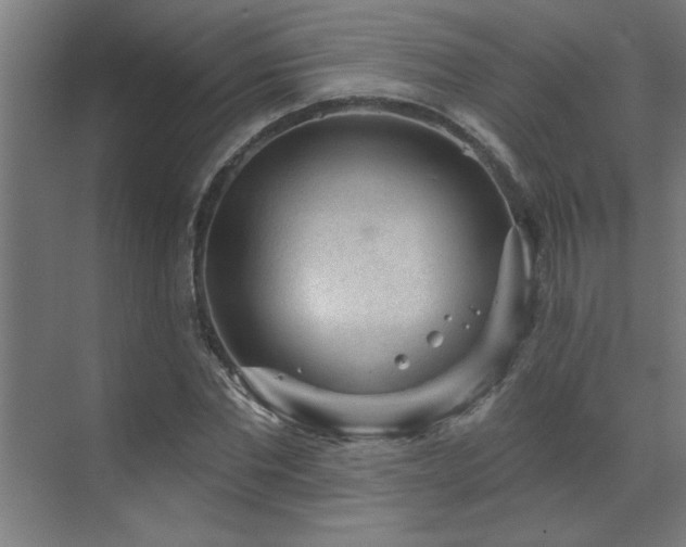 X0000071800877200606301158