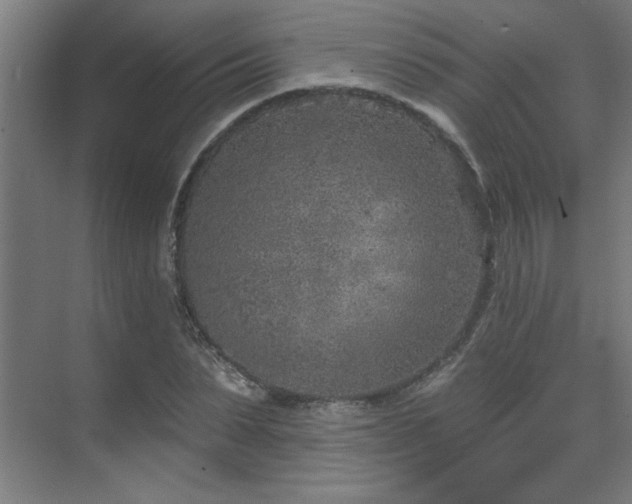 X0000071800879200606301158