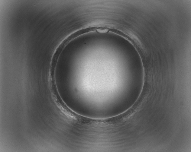 X0000071800880200606301158