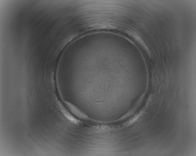 X0000071800881200606301158