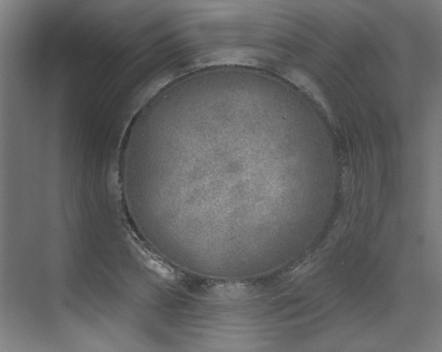 X0000071800882200606301158