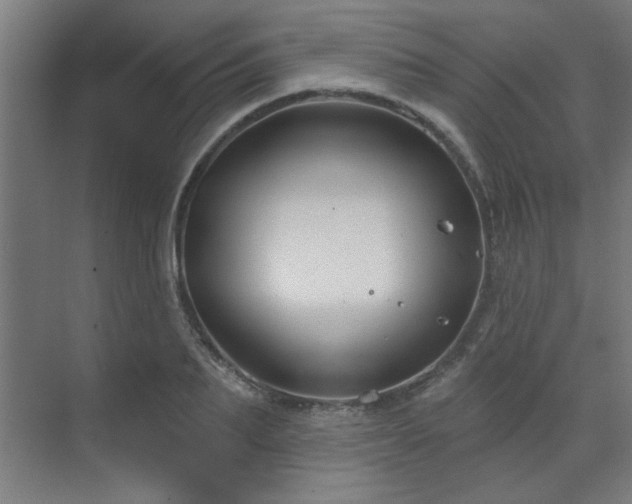 X0000071800887200606301158