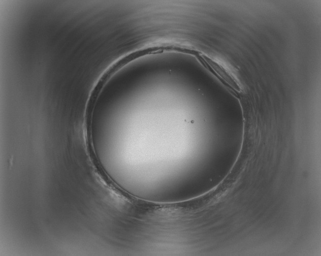 X0000071800888200606301158