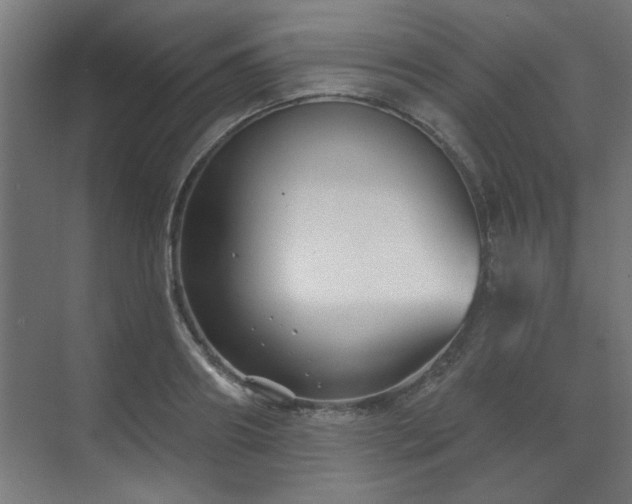 X0000071800890200606301158