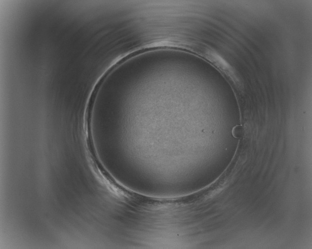 X0000071800892200606301158