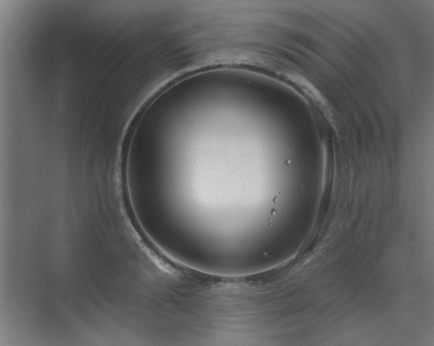 X0000071800894200606301158