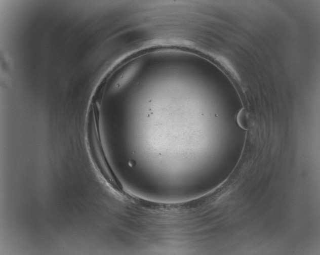 X0000071800895200606301158