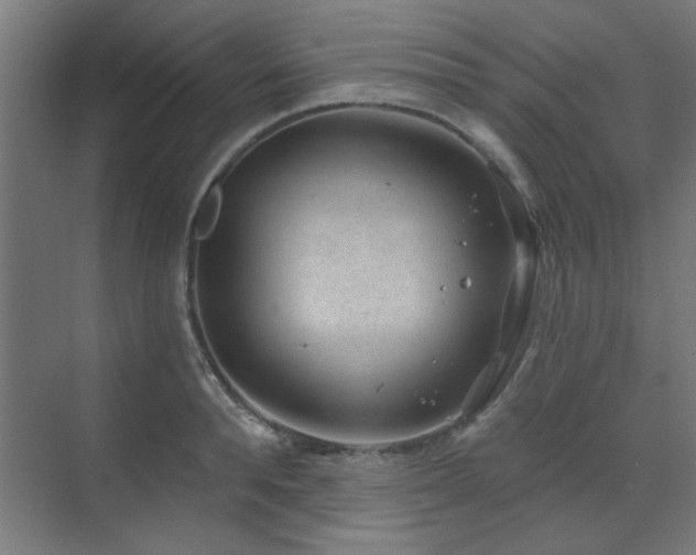 X0000071800896200606301158