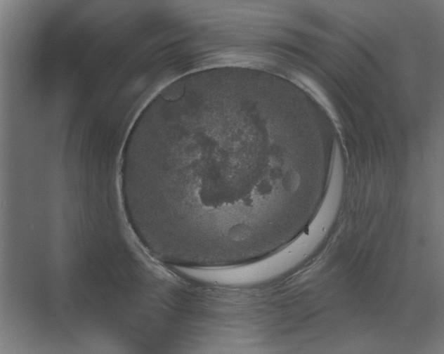 X0000071800899200606301158