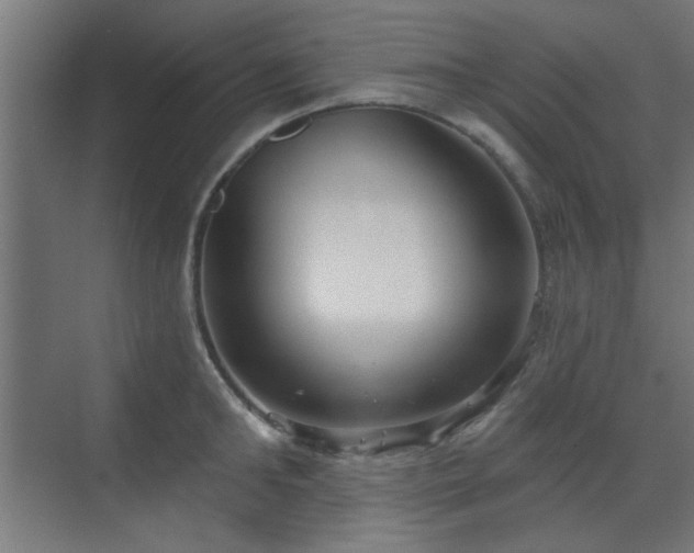 X0000071800902200606301158