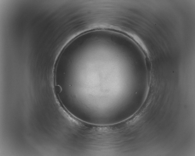 X0000071800903200606301158