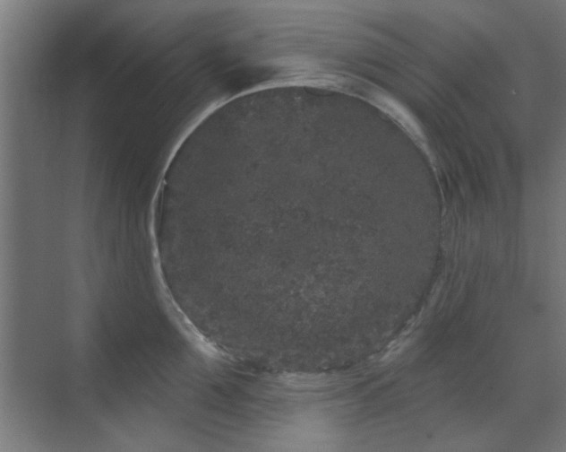 X0000071800907200606301158