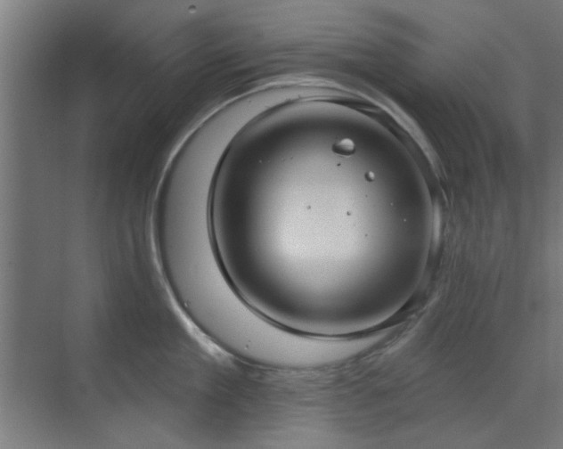 X0000071800909200606301158