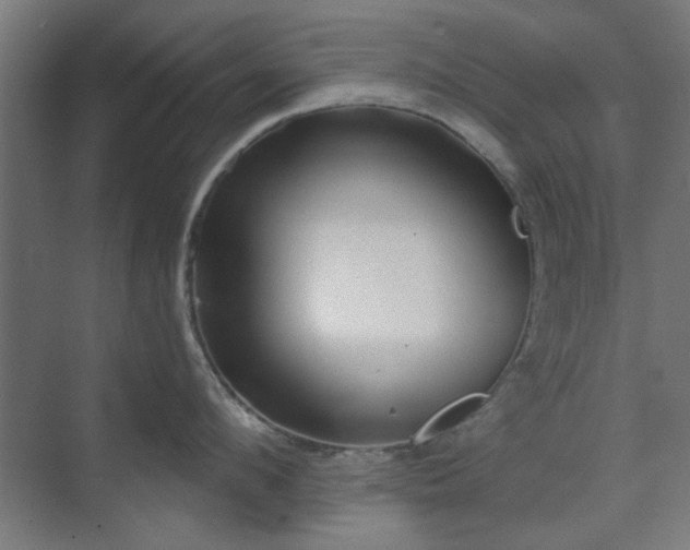 X0000071800912200606301158