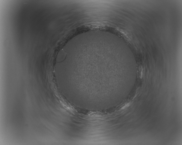 X0000071800913200606301157