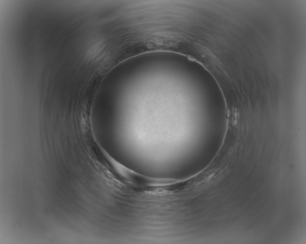 X0000071800915200606301157