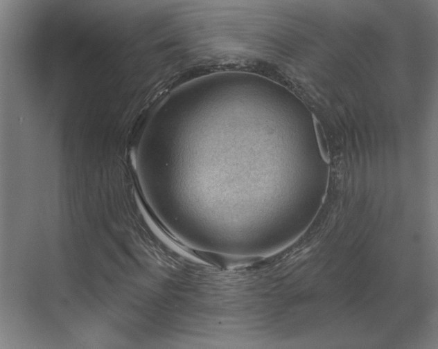 X0000071800916200606301157