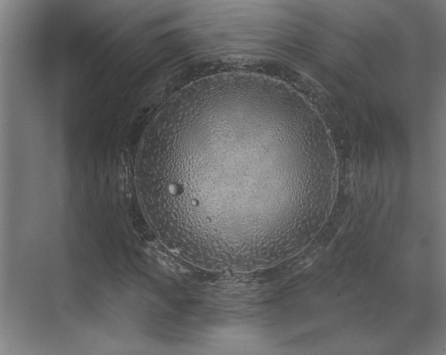 X0000071800917200606301157