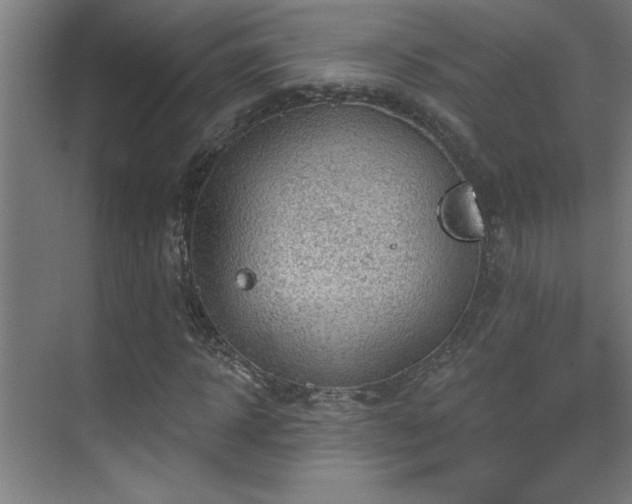 X0000071800918200606301157