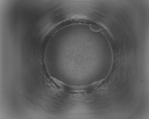 X0000071800919200606301157