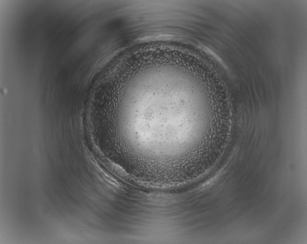 X0000071800921200606301157