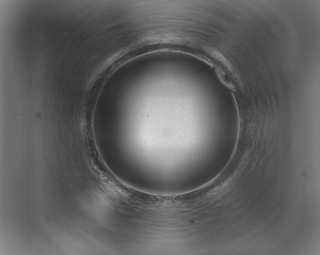 X0000071800922200606301157