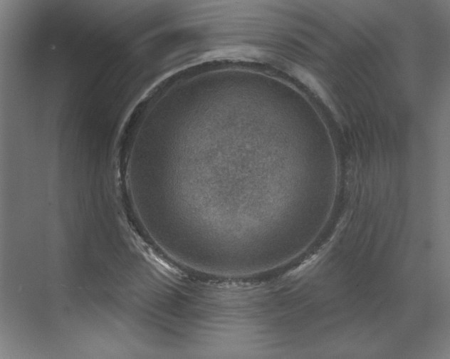 X0000071800923200606301157