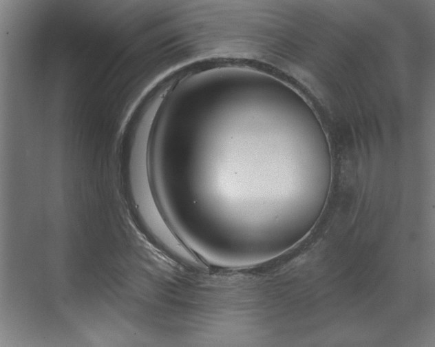 X0000071800926200606301157