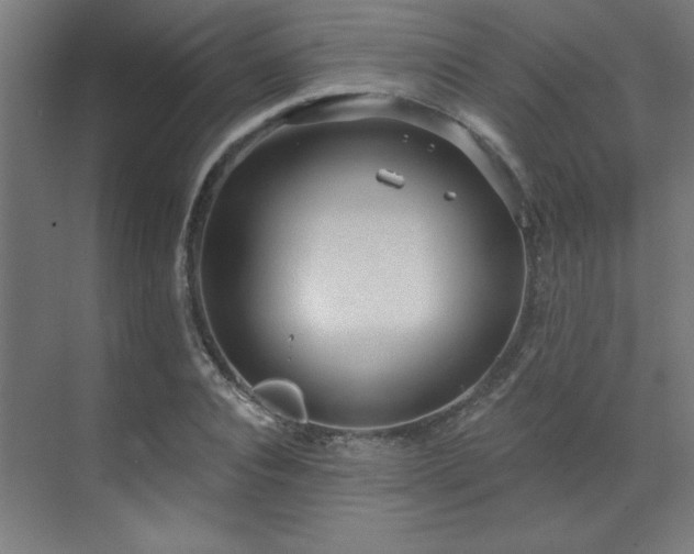 X0000071800928200606301157