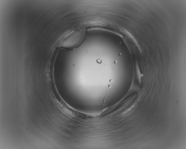 X0000071800930200606301157