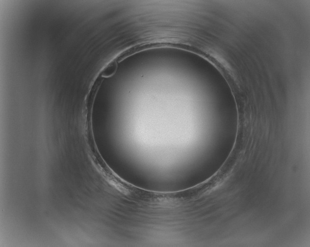 X0000071800933200606301157