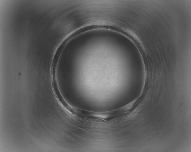 X0000071800935200606301157