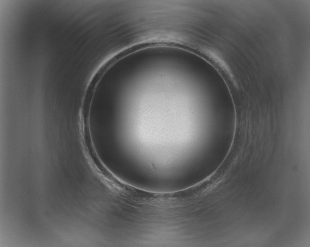 X0000071800936200606301157