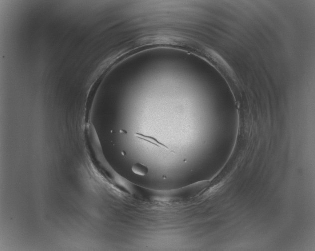 X0000071800938200606301157