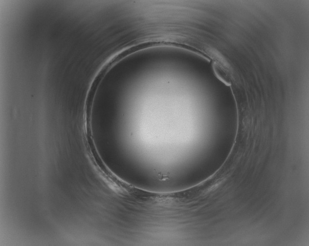 X0000071800940200606301157