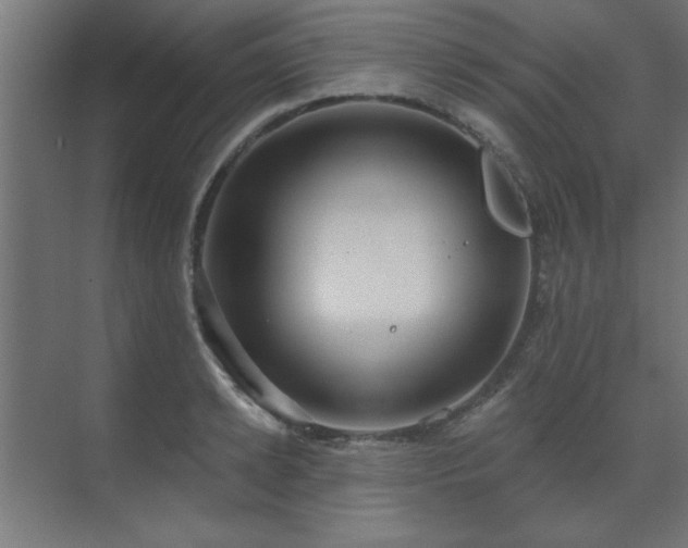 X0000071800942200606301157