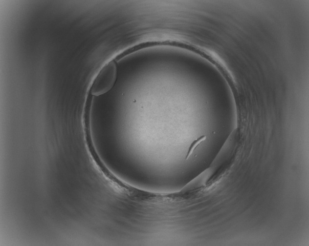 X0000071800943200606301157